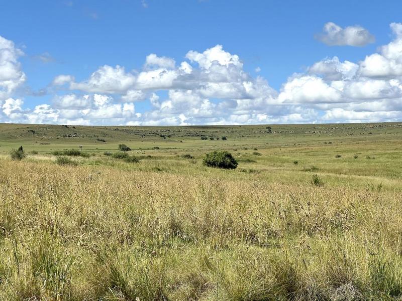 0 Bedroom Property for Sale in Lindley Free State